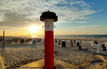 Hund im Glück - Foto 20