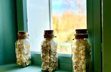 Entre Terre & Marais-Plain-pied-Plage à 15min-BBQ - Foto 9