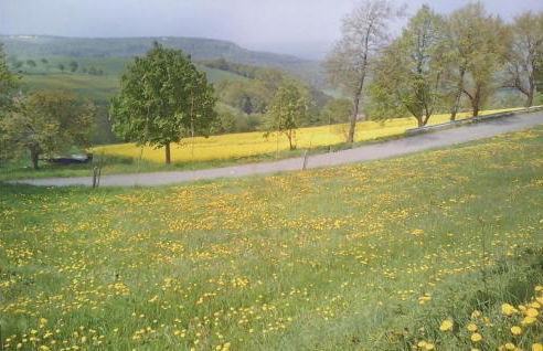 Beautiful Apartment In Bad Pyrmont - Foto 23