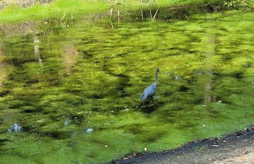 Contemporary bliss-newly renovated cozy villa! - Foto 22