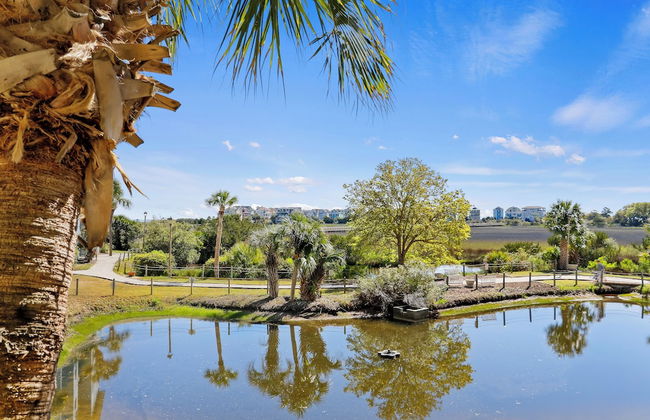 Hilton Head Resort - Foto 14