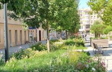 Sienkiewicza 59 Park Apartment - Foto 4