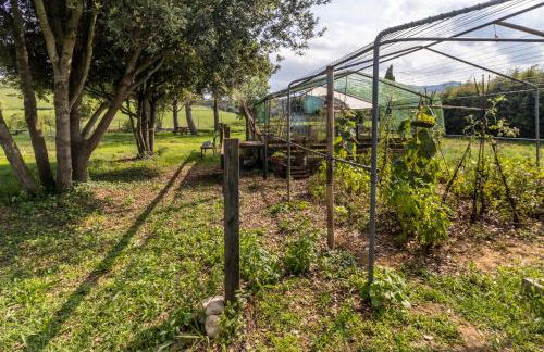 Can Noguer – Casa con piscina y jardín - Photo 50