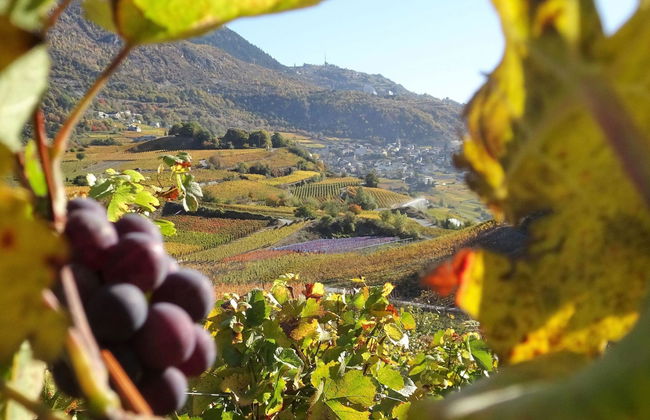 LuxLax 2. OG Süd - Foto 46