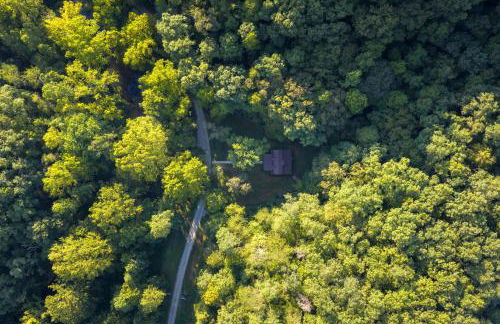 Riverstone Cabin and Retreat - Foto 51