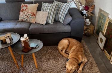 Villa Karigador, Umag- Karigador, Istria - Foto 36