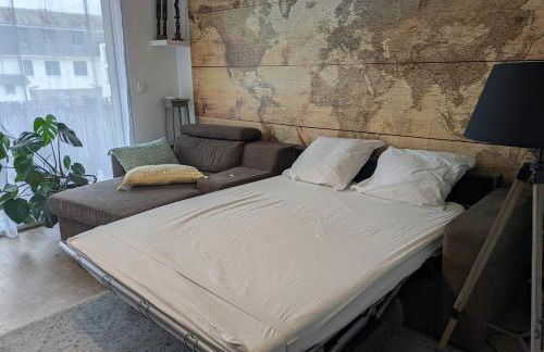 Appartement 2 Chambres INDIaNA Hyper centre - Foto 6