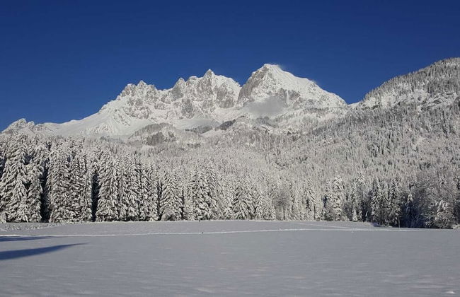 Kitzbühel Lodge - Foto 58