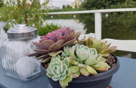 Agroturystyka nad morzem II - Foto 31