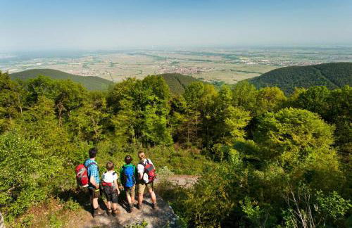 Pfälzer Herzel mit 2 Schlafzimmern und Blick über die Rheinebene kostenfreiem Parkplatz und Wlan fußläufig zum Wald und den Weinbergen Weinkühlschrank Brötchenservice Garten mit Gasgrill - Foto 43