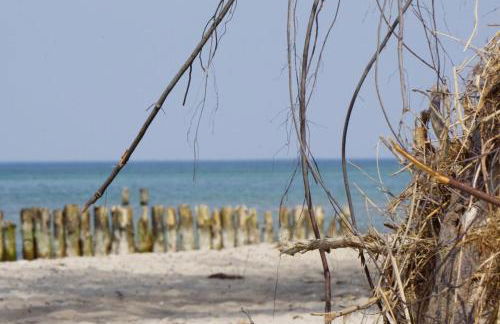 Strandjuwel - Foto 21