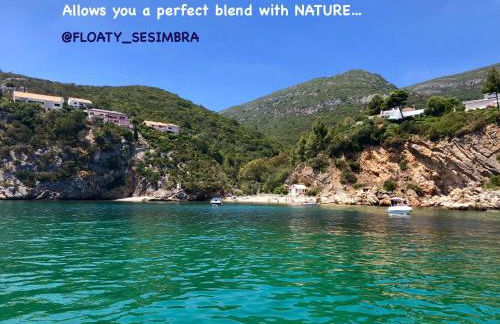 Romã do Meco - Foto 38