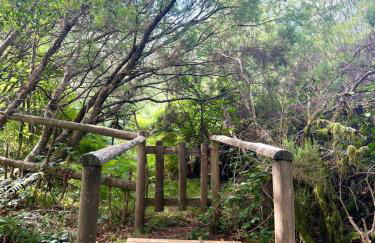 Aveleira EcoCasa - Foto 14