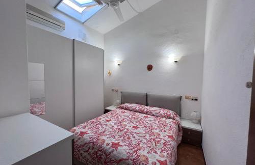 La Babbaiola di Torre delle Stelle - Foto 12