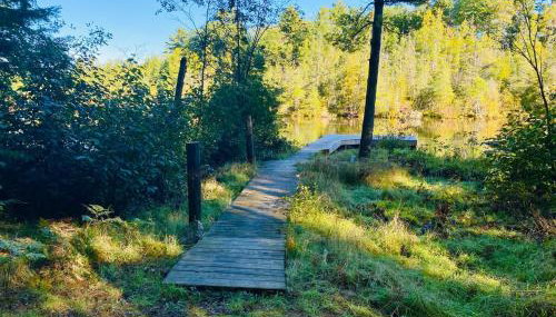 Rapid River Classic cottage - Foto 5