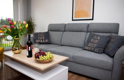 Mieszkanie Węgierska Górka - Foto 37