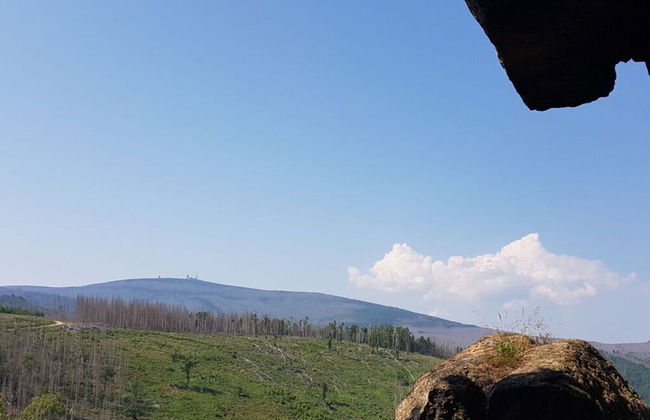 Holiday Home in the Large Garden - Foto 22