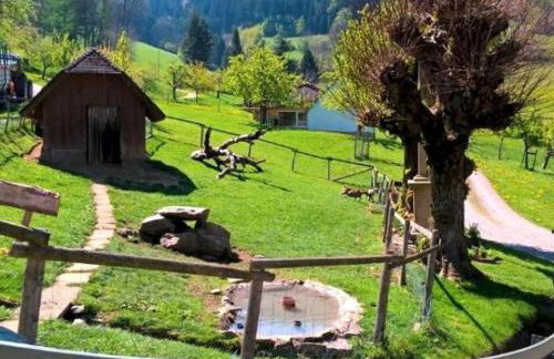 Ferienwohnungen Maierhof Oberried - Foto 65