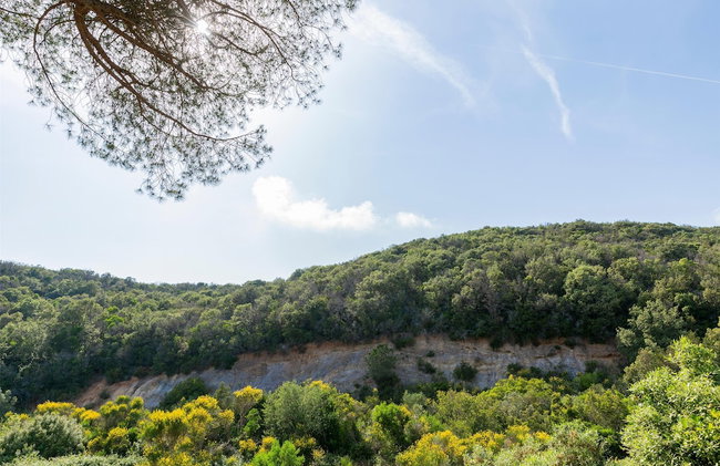 Azienda Agricola Club Le Cannelle - Photo 159