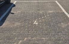 Valeria 26 Bosau am großen Plöner See - Foto 20