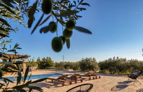 Villa Oliveto Smilcic - Foto 20