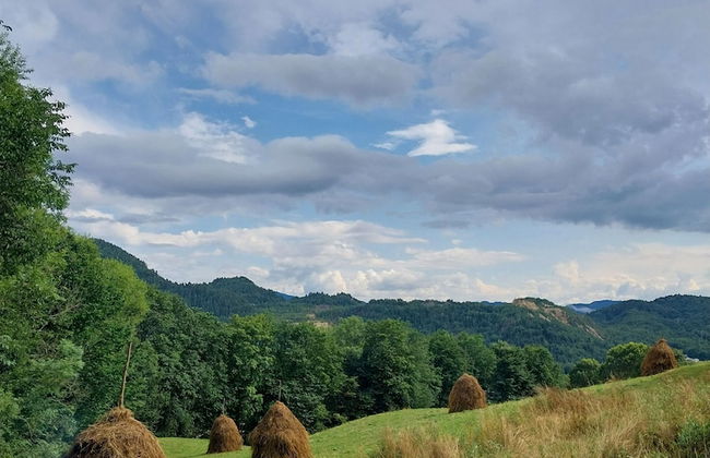Rustic Wild Retreat IN Romania - Foto 13
