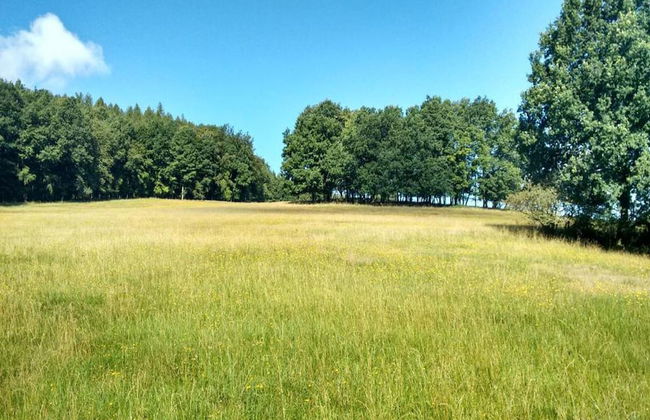 Meadow View Cottage in Winterstein Thuringia near Ski Area - Foto 33