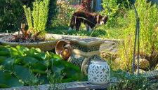 La maison d'Aude - Foto 5