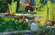 La maison d'Aude - Foto 5