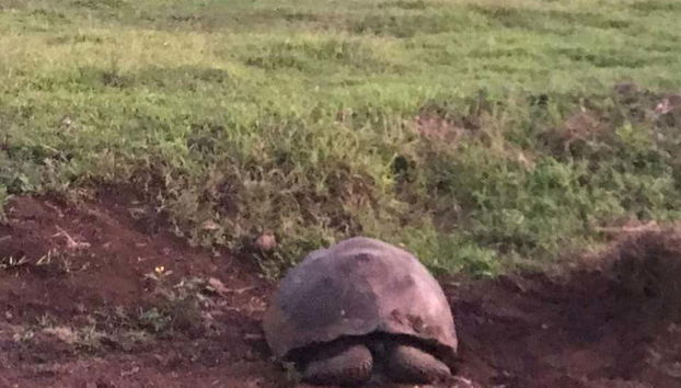 Tour of the Santa Cruz Highlands - Foto 2