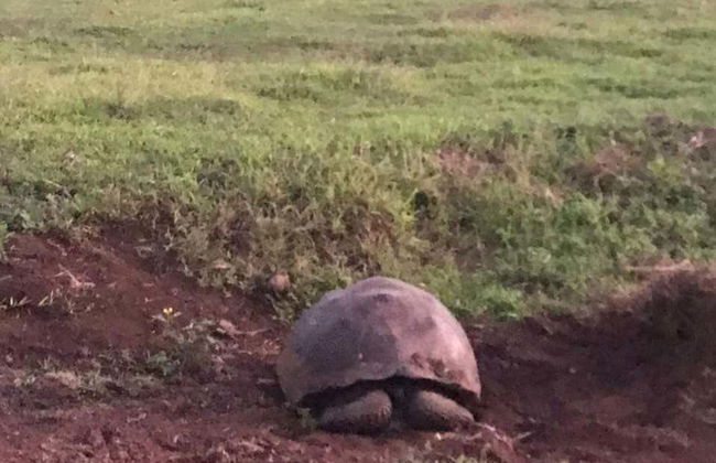 Tour of the Santa Cruz Highlands - Photo 1