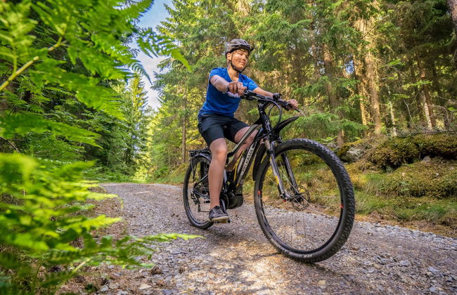 1 bedroom House in Sysmä - Photo 21