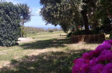 Vacanza in Ogliastra - Foto 23