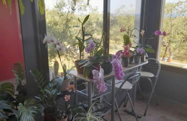 Ulivi e Mare - Foto 14