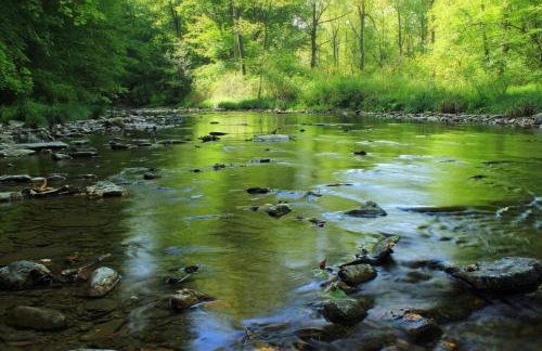 Angela's River Paradise Cottages - Photo 50
