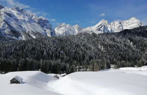 Plodn House - Photo 28