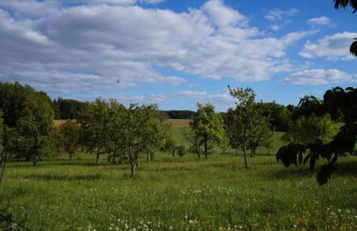 Das Kuenstlerhaus in Kammerstein - Photo 26