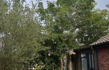 1 bedroom apartment - The Olive Tree - Foto 10