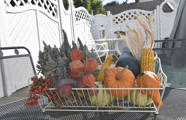 Vintage Bungalow in Neubukow in Meeresnaehe - Photo 11