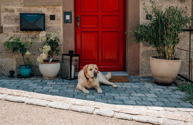 Abendscheins Hof - Foto 32