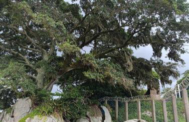 Casa Nova na Tapera near the airport - Foto 22