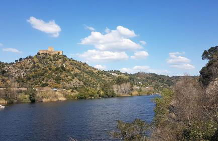 Casas da Balsa - Foto 38