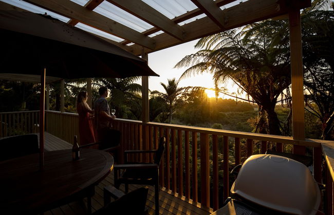 Treescapes - Foto 11