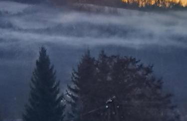 Wielgosówka - Foto 32