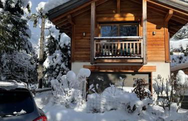 chalet Polar - Photo 29