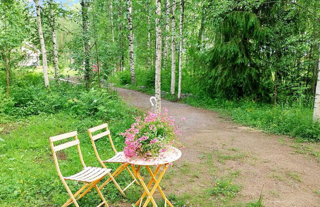 Kesäniitty - Foto 22