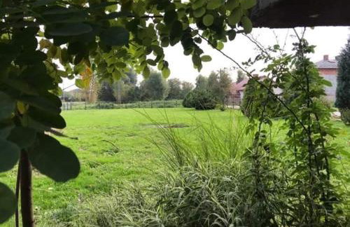 Zielony Domek - Foto 22