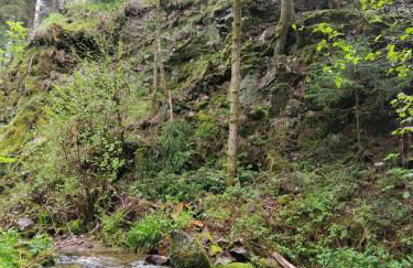 Le Refuge perché du saut de la bourrique, SPA, terrain clôturé, bordure de forêt - Foto 32