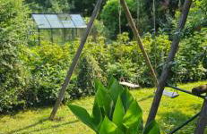 Au séchoir à Tabac - Foto 41