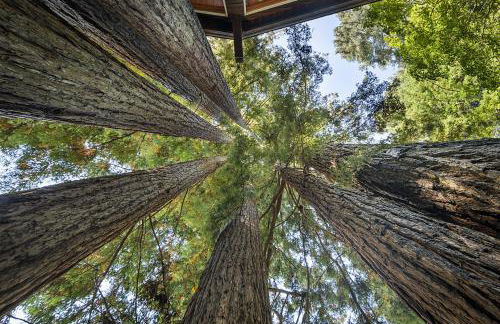 Willowhaven - Foto 35